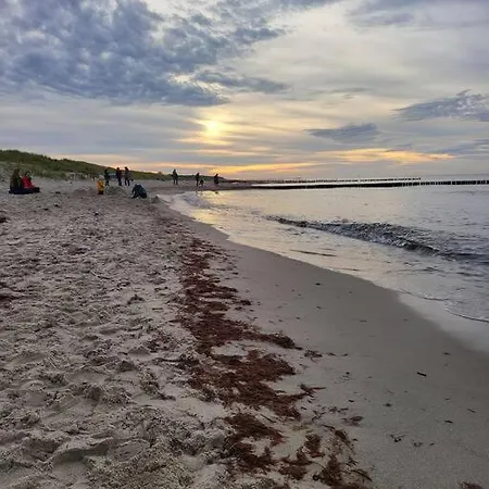 Kranichnest *